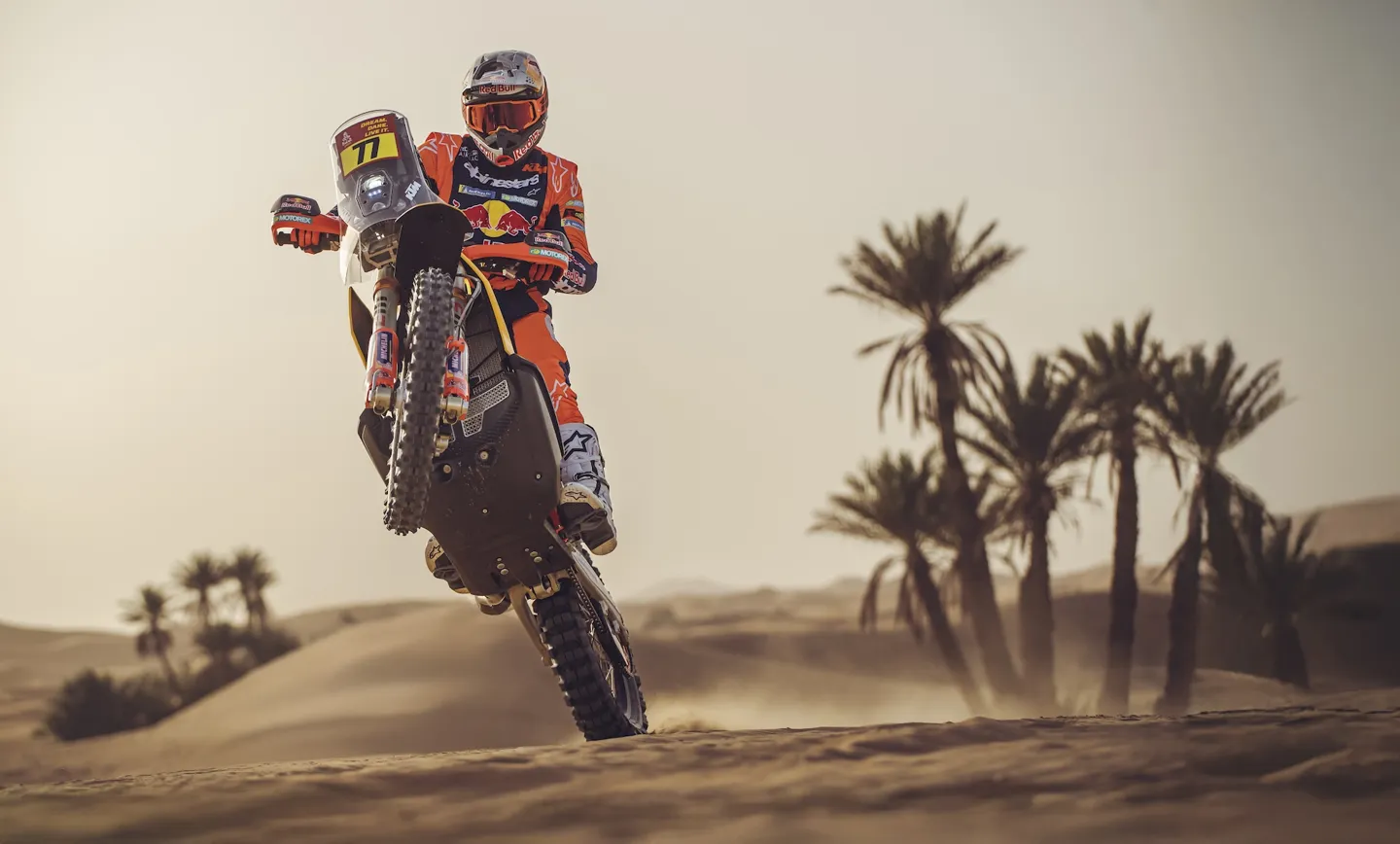 Red Bull KTM rally rider lifting the front wheel on a desert dune with palm trees