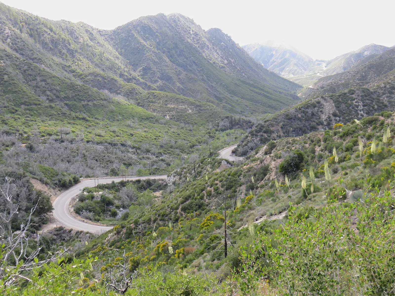 A hairpin bend on the Angeles Crest Highway in the San Gabriel Mountains