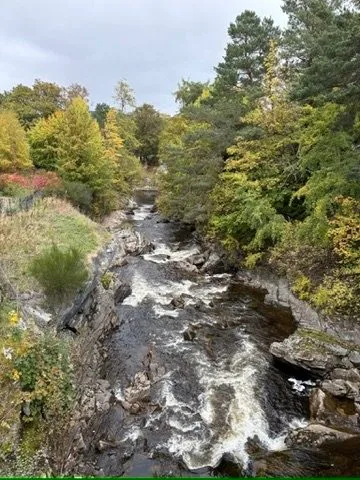 River running through autumn woodland in Speyside